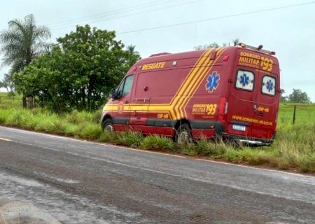 ANGÉLICA: Colisão entre moto e anta deixa vítima ferida na MS-145