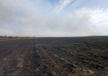 ANGÉLICA: Incêndio de grandes proporções em fazenda resulta em multa de mais de 4 milhões