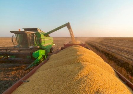 MS diversifica mercados, dribla tarifaço e garante superávit comercial em 2025
