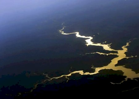 Captura de carbono na Amazônia está em risco, diz estudo