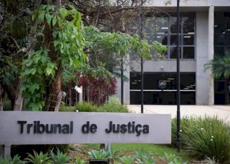 Mulher é condenada por má-fé após pedir devolução de um gato