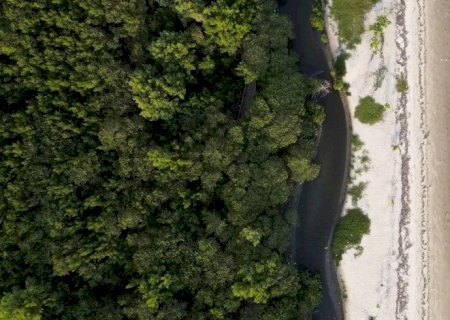 “Não existe Planeta B', alerta astrofísico às vésperas da COP30