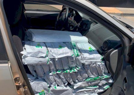 Polícia apreende meia tonelada de inseticida contrabandeado