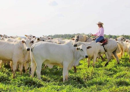 Agronegócio de MS deve alcançar R$ 76,3 bilhões em 2025 com alta de 23%