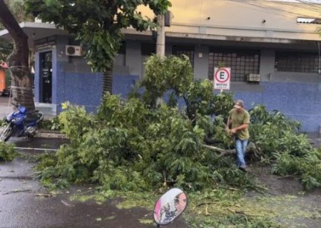 &Aacute;rvore cai sobre ve&iacute;culo durante temporal de 40 minutos no interior
