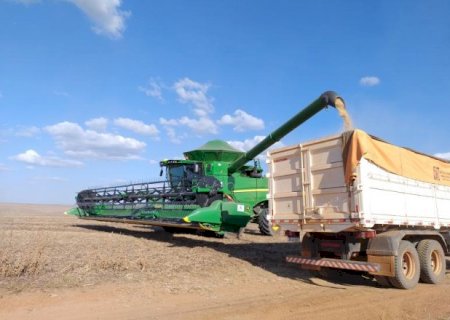 Cr&eacute;dito rural em MS cai 46% e produtor prioriza custeio da lavoura