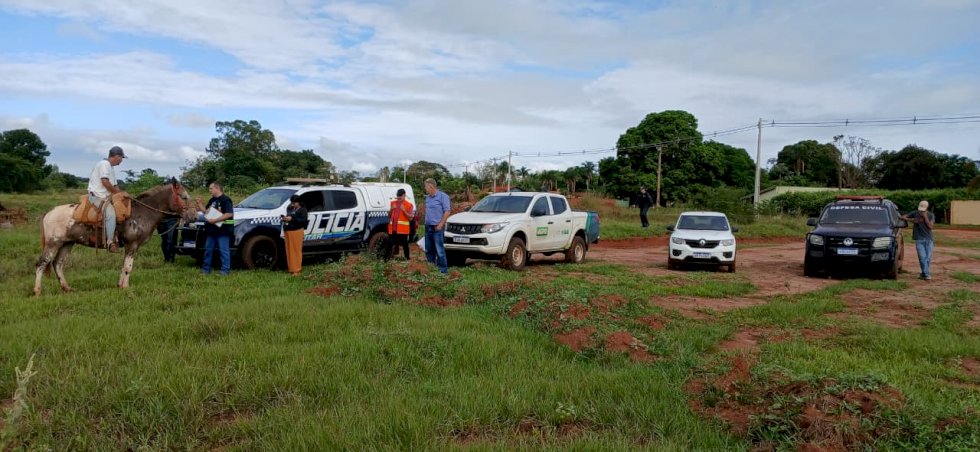 Prefeitura de Angélica inicia fiscalizações sobre animais soltos nas ruas