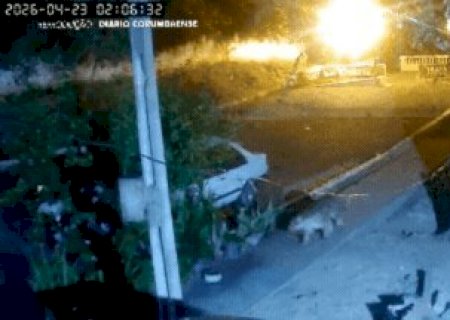 Fogo no Pantanal empurra onças para cidade e cães viram presas fáceis a animais famintos