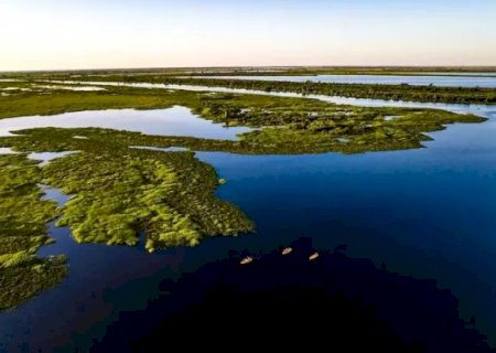 Pantanal preservado e privado surpreende em debate na Harvard, diz especialista