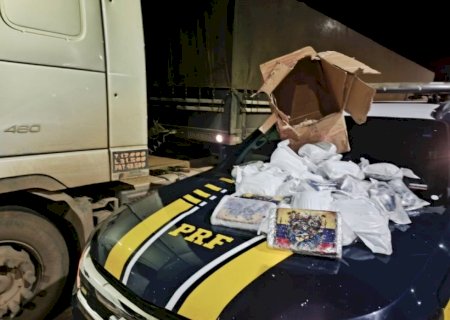 Polícia Rodoviária apreende haxixe e skunk na rodovia BR-267