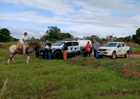 Prefeitura de Angélica inicia fiscalizações sobre animais soltos nas ruas