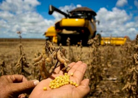 Agro aciona STF para driblar regra ambiental