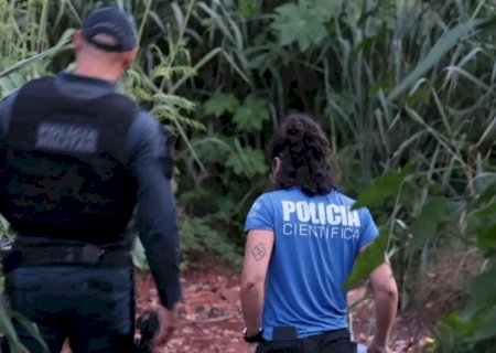 Morador encontra ossada humana enquanto colhia madeira