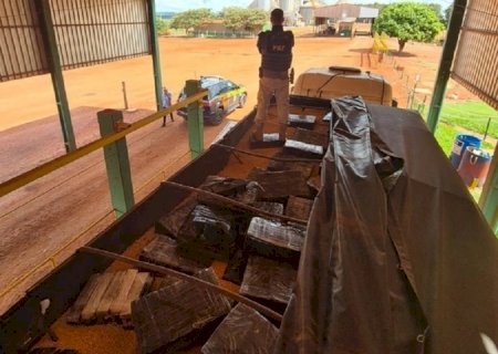 PRF apreende mais de 2 toneladas de maconha em caminhão na BR-163