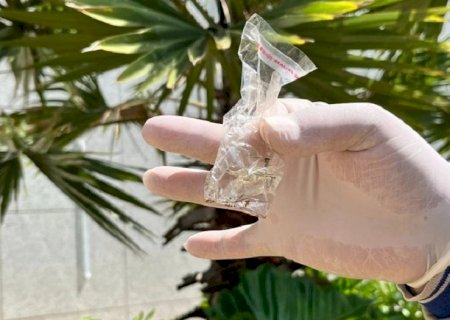 Nova Andradina registra 135 casos suspeitos de dengue e chikungunya