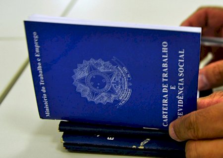 Pesquisa revela que brasileiro prefere emprego com carteira assinada
