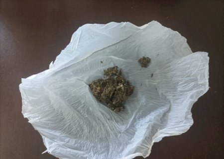 IVINHEMA: Polícia Militar encaminha homem à Delegacia por porte de droga para consumo pessoal em Amandina