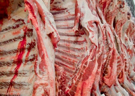 Governo promete reverter veto da UE a carnes e animais brasileiros