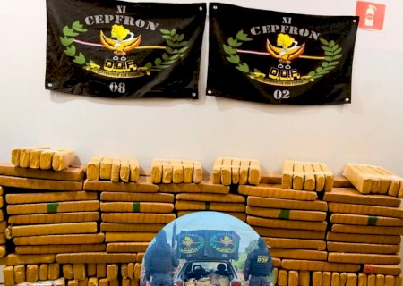 NOVA ANDRADINA: DOF apreende quase 300 quilos de maconha