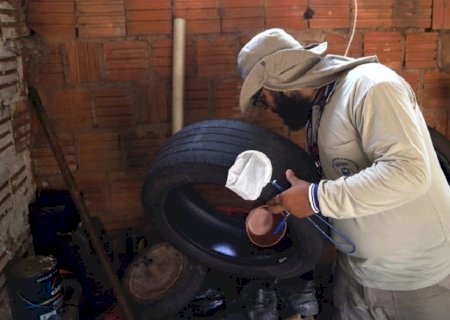 MS registra 14 mortes por chikungunya em 2026