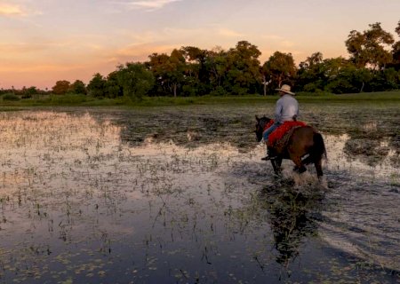 Peão de comitiva cai de caminhão boiadeiro no Pantanal e morre meses depois