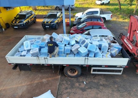 Quase 5t de maconha são apreendidas em meio a carga de sementes de girassol