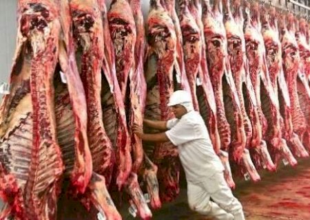 Frigor&iacute;ficos reduzem at&eacute; 40% dos abates em MS diante de press&atilde;o do mercado
