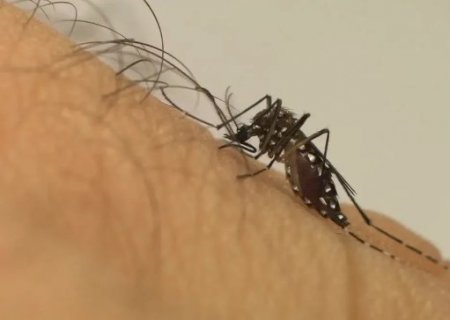 Dourados chega a 17 mortes por chikungunya ap&oacute;s confirmar mais 2 casos