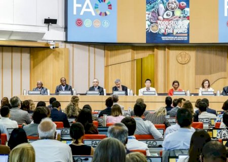 Brasil continua fora do Mapa da Fome, aponta relatório da ONU