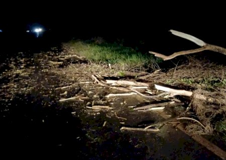 Chuva e vento forte derrubam árvores e causam transtornos na MS-141 entre Angelica e Ivinhema