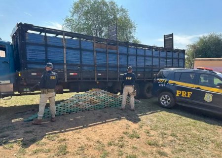 Motorista é preso com 200 quilos de cocaína em caminhão boiadeiro