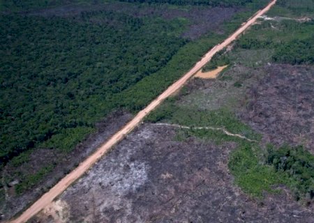 Desmatamento na Amazônia cai 36,87% no último ano
