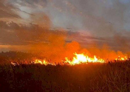 Incêndio criminoso em fazenda deixa prejuízo de R$ 40 mil em Dourados