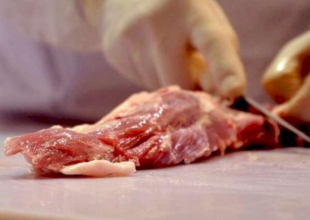 Exporta&ccedil;&otilde;es de carne aumentam 47,9% em MS