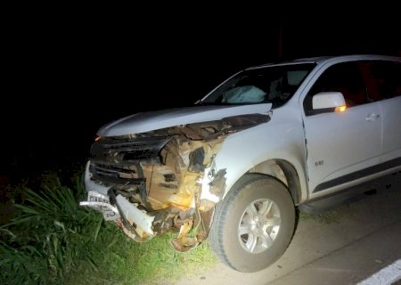 Caminhonete bate em anta na MS-276 entre Batayporã e Anaurilândia