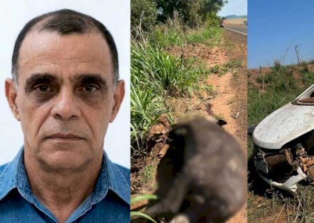 Morador de Cassilândia bate carro em anta e morre na GO-341