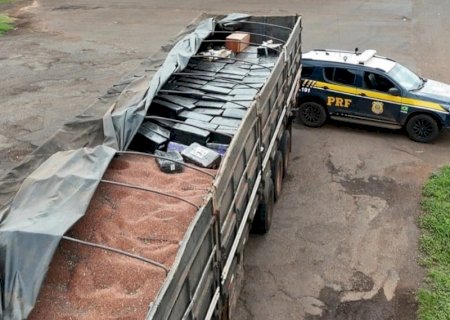 PRF apreende 6,3 toneladas de maconha e quatro fuzis na BR-163 em Naviraí